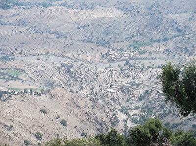 Terraces are rainfed and mono-cropped 